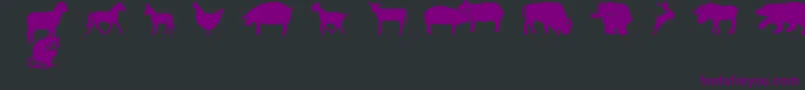 FarmwildanimalsCsp Font – Purple Fonts on Black Background