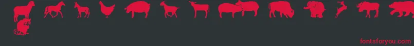 FarmwildanimalsCsp Font – Red Fonts on Black Background