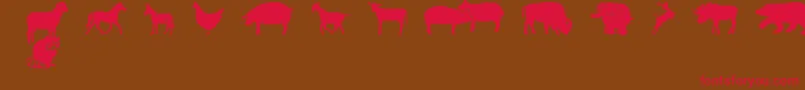 FarmwildanimalsCsp Font – Red Fonts on Brown Background