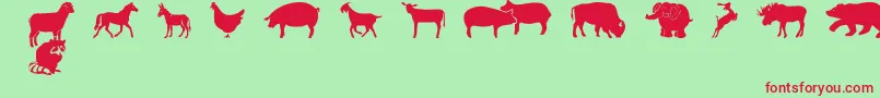 FarmwildanimalsCsp Font – Red Fonts on Green Background