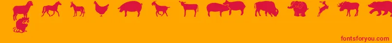FarmwildanimalsCsp-Schriftart – Rote Schriften auf orangefarbenem Hintergrund