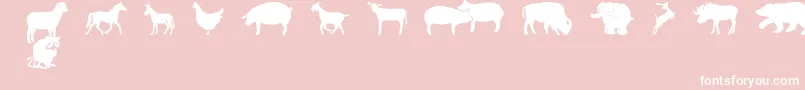 FarmwildanimalsCsp-Schriftart – Weiße Schriften auf rosa Hintergrund