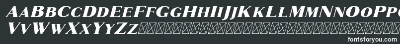 Шрифт Marques Italic – белые шрифты