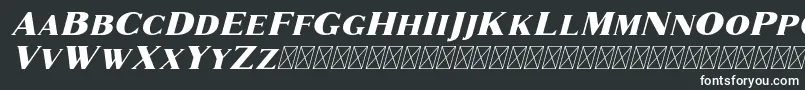 フォントMarques Italic – 白い文字