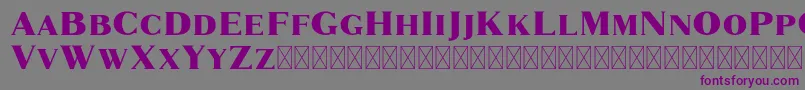 Шрифт Marques – фиолетовые шрифты на сером фоне