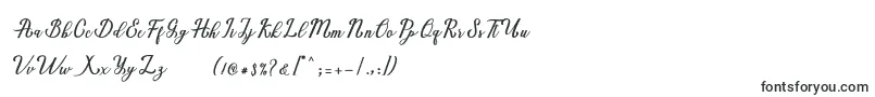 Marria Script Font – Calligraphic Fonts