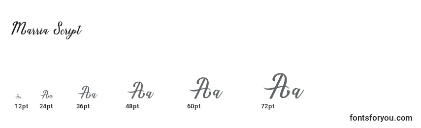 Marria Script Font Sizes