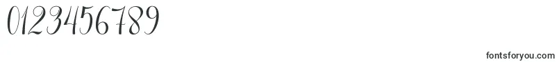 Marshanda Font – Fonts for Numbers and Digits