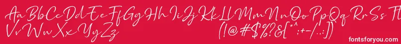 フォントMarthin – 赤い背景に白い文字