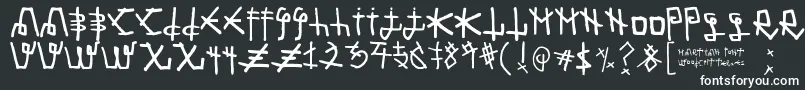 フォントMartian Font – 白い文字