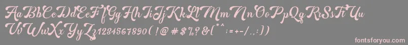 Шрифт Martine Bold – розовые шрифты на сером фоне