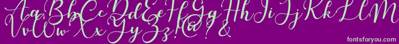 Martinesse Font – Green Fonts on Purple Background