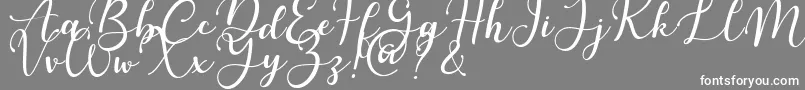フォントMartinesse – 灰色の背景に白い文字