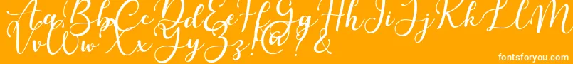 Martinesse Font – White Fonts on Orange Background