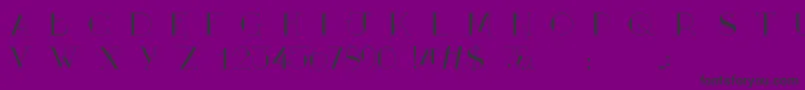 Mary CAPS Font – Black Fonts on Purple Background