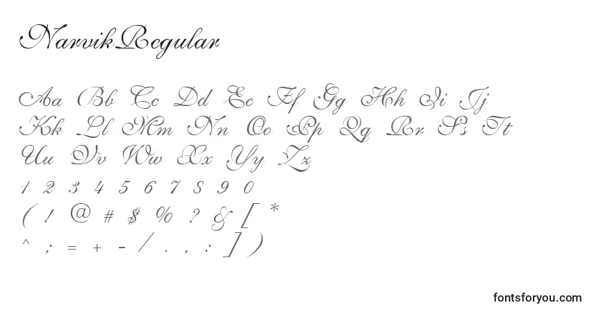 Шрифт NarvikRegular – алфавит, цифры, специальные символы