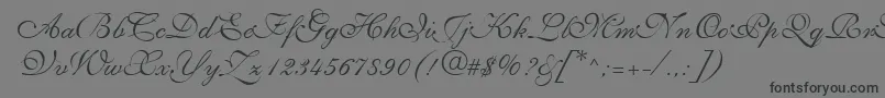 NarvikRegular-Schriftart – Schwarze Schriften auf grauem Hintergrund
