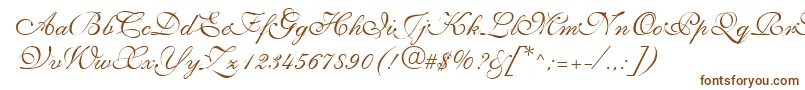 NarvikRegular Font – Brown Fonts on White Background