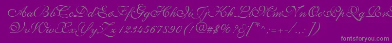 NarvikRegular-Schriftart – Graue Schriften auf violettem Hintergrund