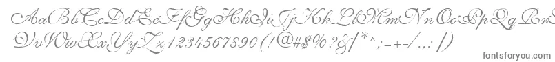 More about NarvikRegular Font NarvikRegular Font – Gray Fonts