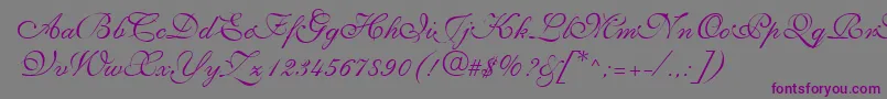 NarvikRegular-Schriftart – Violette Schriften auf grauem Hintergrund