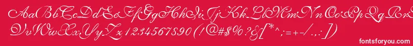 NarvikRegular Font – White Fonts on Red Background