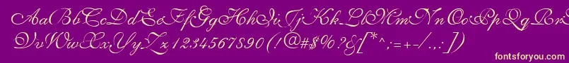 NarvikRegular Font – Yellow Fonts on Purple Background