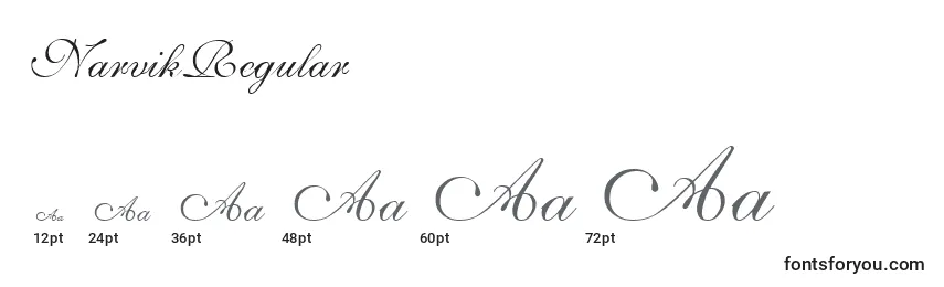 NarvikRegular Font Sizes