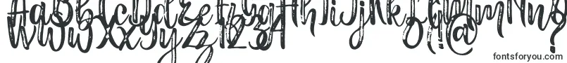 Masha Font – Fonts for Adobe Illustrator
