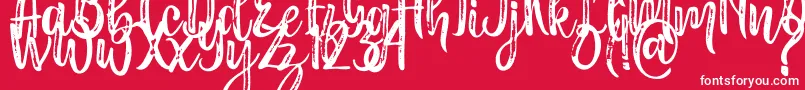 Fonte Masha – fontes brancas em um fundo vermelho