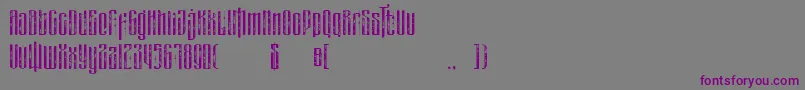 フォントmasquerouge rough – 紫色のフォント、灰色の背景