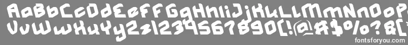 MASTER Light Font – White Fonts on Gray Background
