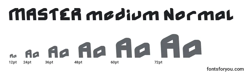 MASTER medium Normal Font Sizes