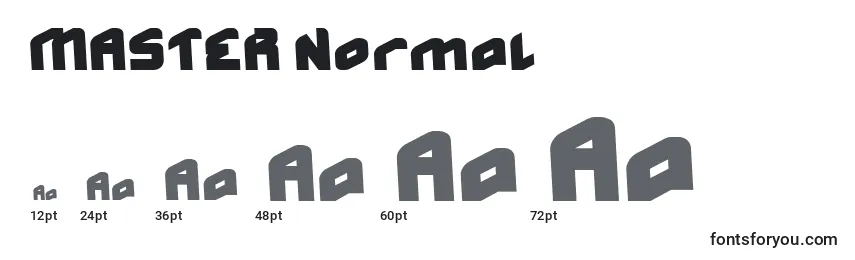 Размеры шрифта MASTER Normal