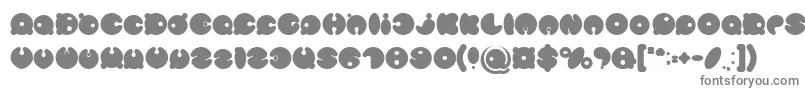 MASTER PANDA Bold Font – Gray Fonts on White Background