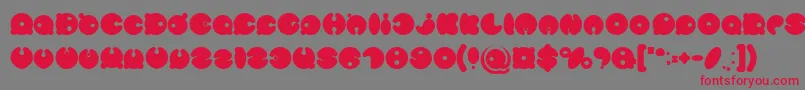 MASTER PANDA Bold-Schriftart – Rote Schriften auf grauem Hintergrund