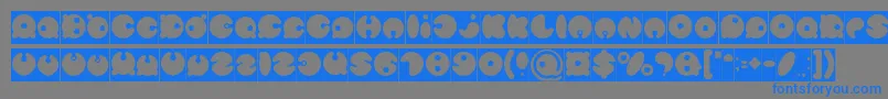 MASTER PANDA Inverse Font – Blue Fonts on Gray Background