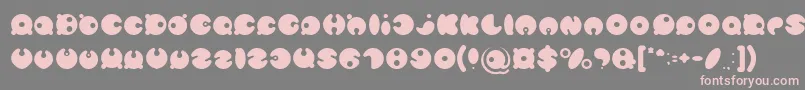 MASTER PANDA Light-Schriftart – Rosa Schriften auf grauem Hintergrund