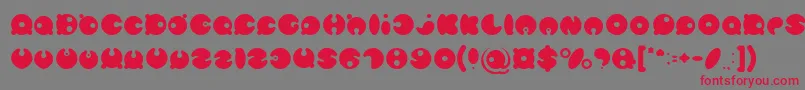 MASTER PANDA Light Font – Red Fonts on Gray Background