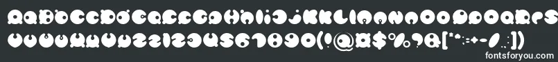 MASTER PANDA Light Font – White Fonts