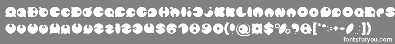 MASTER PANDA Light Font – White Fonts on Gray Background