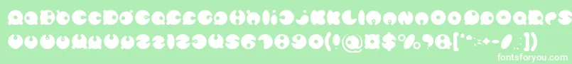 MASTER PANDA Light Font – White Fonts on Green Background