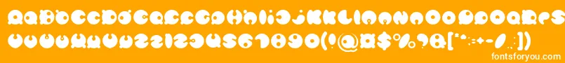 MASTER PANDA Light Font – White Fonts on Orange Background