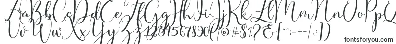 Czcionka Master Script – czcionki kaligraficzne