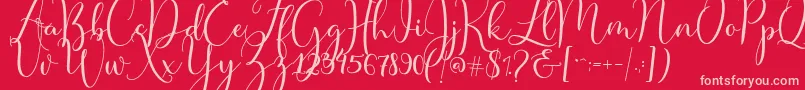Master Script Font – Pink Fonts on Red Background