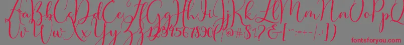 Master Script Font – Red Fonts on Gray Background