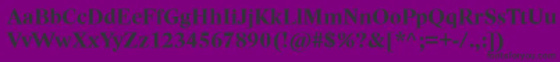 LidoStfCeBold-Schriftart – Schwarze Schriften auf violettem Hintergrund