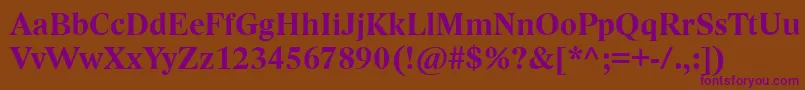 LidoStfCeBold Font – Purple Fonts on Brown Background