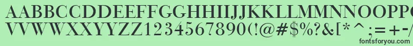 BauerBodoniTitlingBt Font – Black Fonts on Green Background