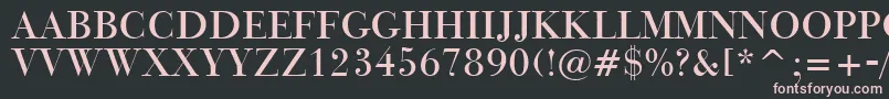 BauerBodoniTitlingBt Font – Pink Fonts on Black Background